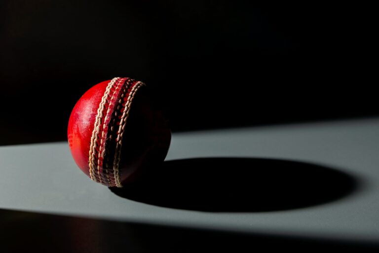 India Spins to Victory, Securing Series Win Against Bangladesh