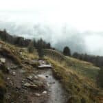 Landslides in HP caused by deforestation and unplanned constructions experts allege