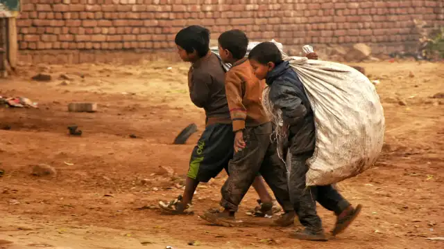 Why do experts allege that the World Bank's data on India's poverty reduction is flawed and obscures the real economic development scenario?